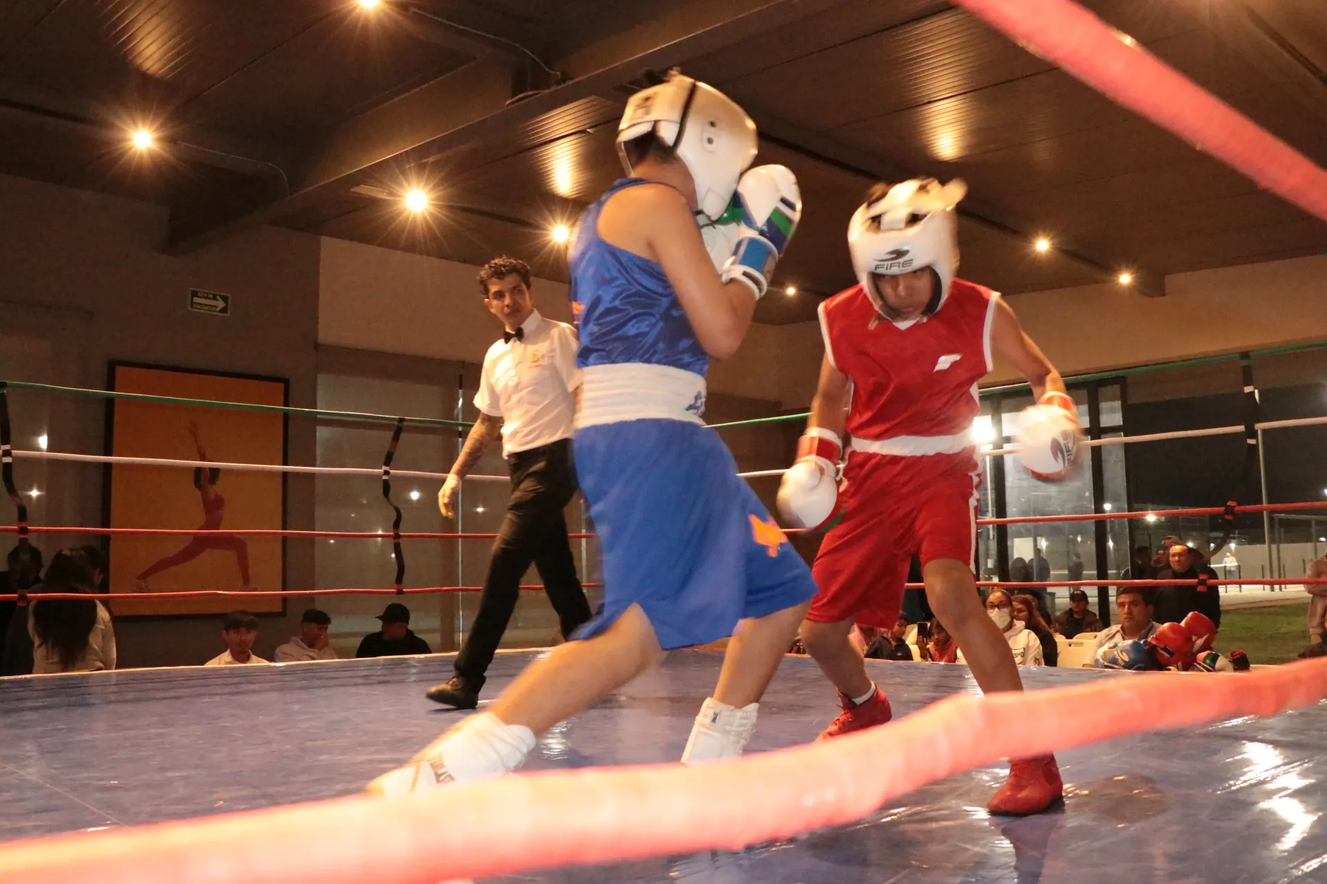 Boxeo Niños